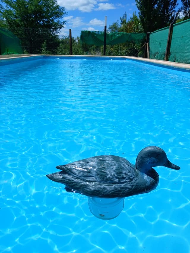 Antes y Después, limpieza piscina
